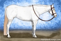Horse Color:Buckskin Pearl Sabino 