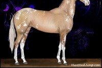 Horse Color:Silver Black Pearl Sabino