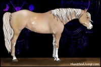 Horse Color:Silver Black Pearl Sabino 
