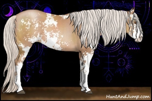 Horse Color:Silver Black Pearl Sabino 