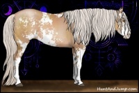 Horse Color:Silver Black Pearl Sabino 