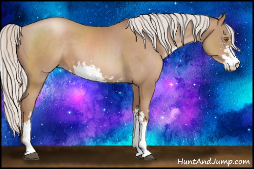 Horse Color:Silver Black Pearl Sabino 