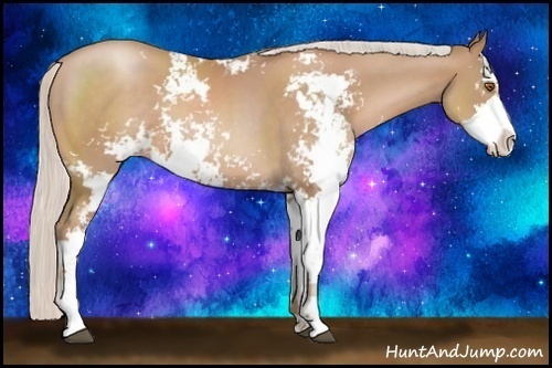 Horse Color:Silver Black Pearl Sabino 