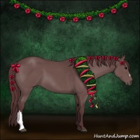 Horse Color:Chocolate Black 