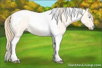 Horse Color:Perlino Roan Dun Tobiano 