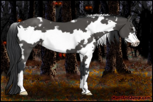 Horse Color:White Spotted Black Frame Varnish 
