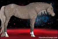 Horse Color:Silver Black Appaloosa