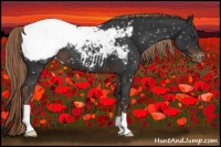 Horse Color:Liver Chestnut Appaloosa 