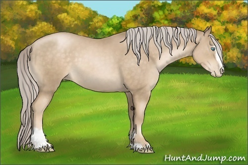 Horse Color:Chocolate Palomino Pearl Sabino 