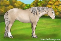 Horse Color:Chocolate Palomino Pearl Sabino
