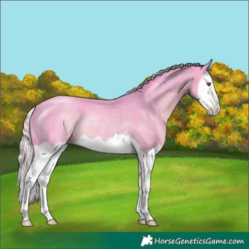 Horse Color:Watercolor Silver Black Chinchilla Splash Rabicano 