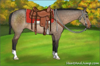 Horse Color:Brown Dun Brindle 
