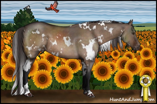 Horse Color:White Spotted Brown Dun Appaloosa Brindle 