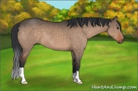 Horse Color:Brown Dun Brindle 
