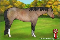 Horse Color:Brown Dun