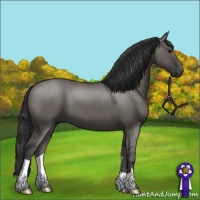 Horse Color:Grullo 