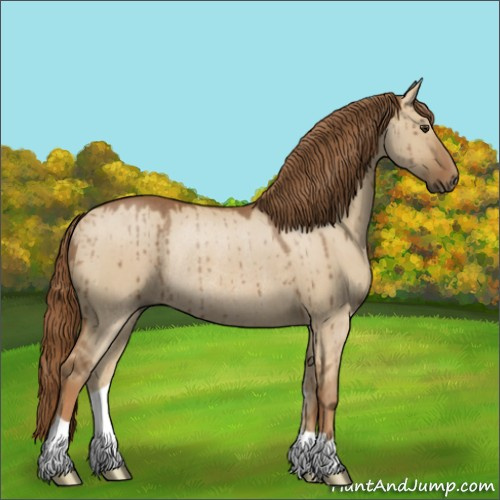 Horse Color:Red Dun Rabicano Brindle