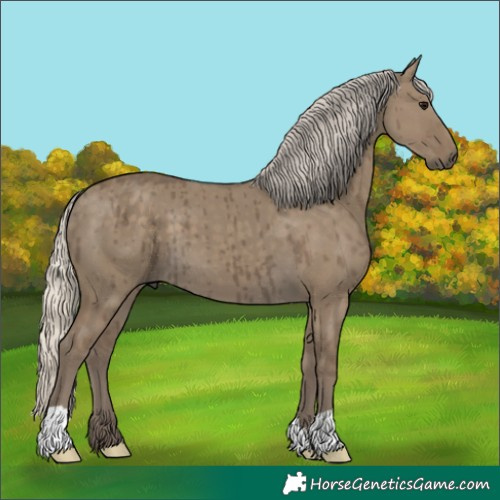 Horse Color:Silver Smoky Grullo Brindle 
