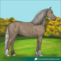 Horse Color:Silver Smoky Grullo Brindle