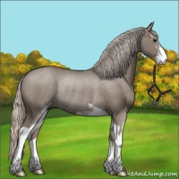 Horse Color:Silver Grullo Sabino Rabicano