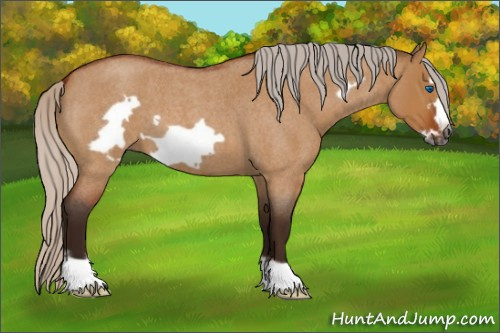 Horse Color:Gray Silver Bay Roan Dun Frame 