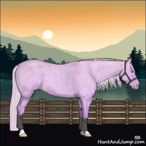 Horse Color:Cremello Roan Dun 
