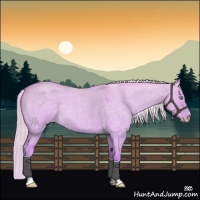 Horse Color:Cremello Roan Dun 