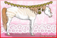 Horse Color:Buckskin Pearl Sabino Splash Appaloosa Rabicano 