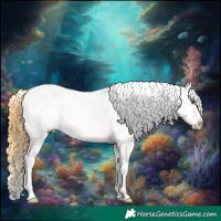 Horse Color:Buckskin Roan Dun Splash Blanket Rabicano 