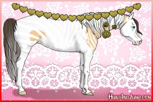Horse Color:Buckskin Dun Splash Tobiano