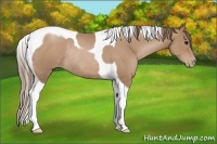 Horse Color:Black Pearl Sabino Tobiano Rabicano 