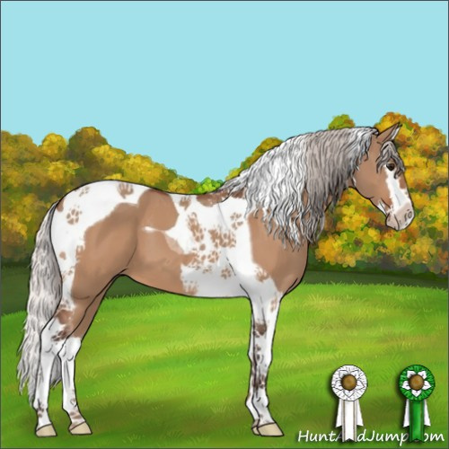 Horse Color:Silver Bay Dun Splash Tobiano 