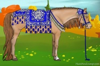 Horse Color:Bay Pearl Rabicano 