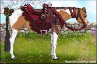 Horse Color:Bay Tobiano Appaloosa 