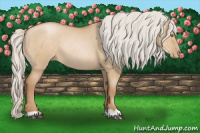 Horse Color:Silver Grullo Pearl Rabicano 