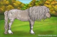 Horse Color:Silver Grullo Ice Rabicano 