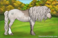 Horse Color:Silver Grullo Roan Rabicano 
