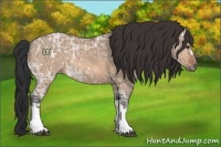 Horse Color:Bay Ice Dun 