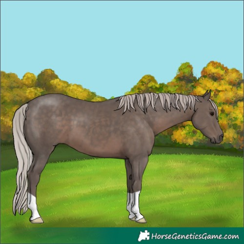 Horse Color:Silver Black 