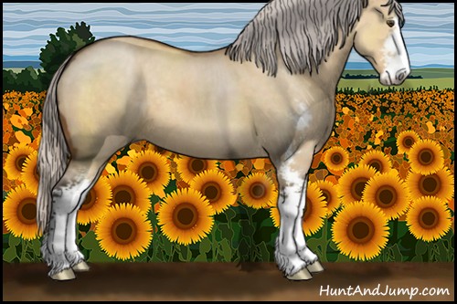 Horse Color:Silver Buckskin Dun Sabino 