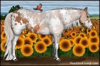 Horse Color:White Spotted Silver Bay Sabino