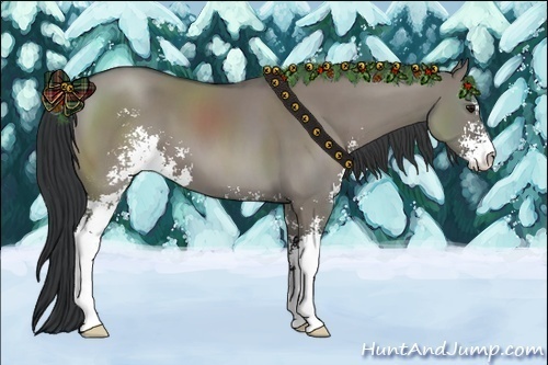 Horse Color:Grullo Sabino 