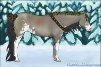 Horse Color:Grullo Sabino 