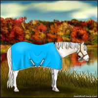 Horse Color:White Spotted Silver Smoky Grullo Pearl 