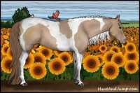 Horse Color:Blue Roan Pearl Tobiano 