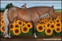 Horse Color:Silver Brown Sabino 