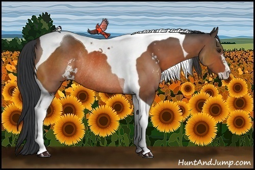 Horse Color:Brown Sabino Tobiano Rabicano 