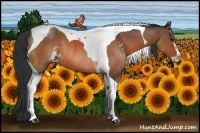 Horse Color:Brown Sabino Tobiano Rabicano 