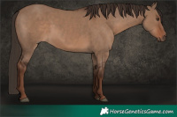 Horse Color:Liver Red Dun 
