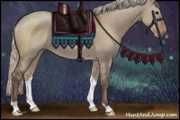 Horse Color:Silver Grullo 